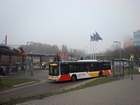 MAN NL283 Lion's City #607