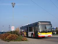 Zdj�cie miesi�ca