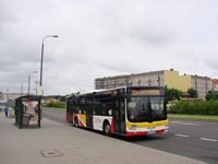 MAN NL283 Lion's City #608