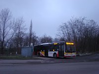 MAN NL283 Lion's City #608