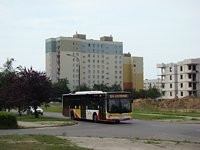 MAN NL283 Lion's City #608