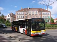 Zdj�cie miesi�ca