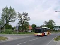 Zdj�cie miesi�ca