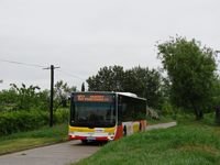 Zdj�cie miesi�ca