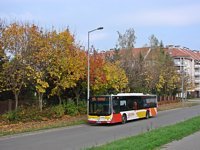 Galeria zdjec komunikacji miejskiej