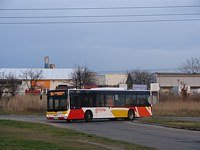 Zdj�cie miesi�ca