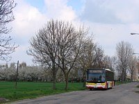 Galeria zdjec komunikacji miejskiej