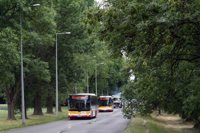 MAN Lion'sCity LL NL313-15 #617