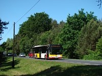 MAN Lion'sCity LL NL313-15 #618