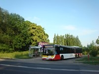 MAN Lion'sCity LL NL313-15 #618