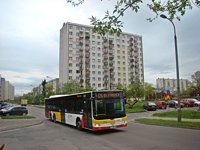 MAN Lion'sCity LL NL313-15 #620