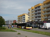 MAN Lion'sCity LL NL313-15 #620