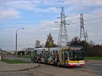MAN Lion'sCity LL NL313-15 #621