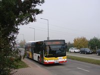 MAN Lion'sCity LL NL313-15 #622