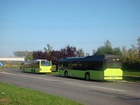 Solaris Urbino 12 #629
