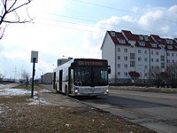 MAN NL 283 Lions City