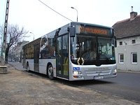 MAN NL 283 Lions City