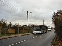 MAN NL 283 Lions City