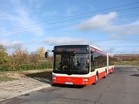 MAN NL 283 Lions City
