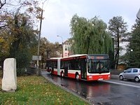 MAN NL 283 Lions City