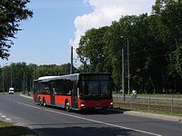MAN Lion'sCity LL NL313-15