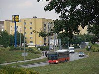 MAN Lion'sCity LL NL313-15